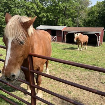 Oxon Hill Farm - Parks Near Me - Oxon Hill, Maryland Oxon Hill Farm - Parks Near Me - Oxon Hill, Maryland