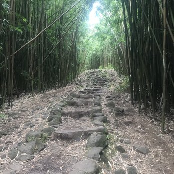 Pipiwai Trail - Hiking Near Me - Hana,, Hawaii