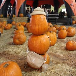 Seasonal Adventures Pumpkin Patch And Christmas Trees