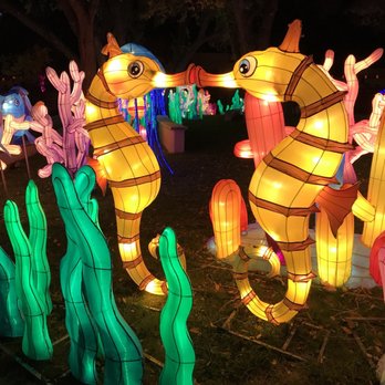 Dragon Lights Albuquerque - Festivals Near Me - Albuquerque, New Mexico