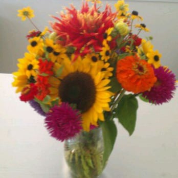 Proctor Farmers' Market - $5 - Farmers Market Near Me - Tacoma, Washington Proctor Farmers' Market - $5 - Farmers Market Near Me - Tacoma, Washington