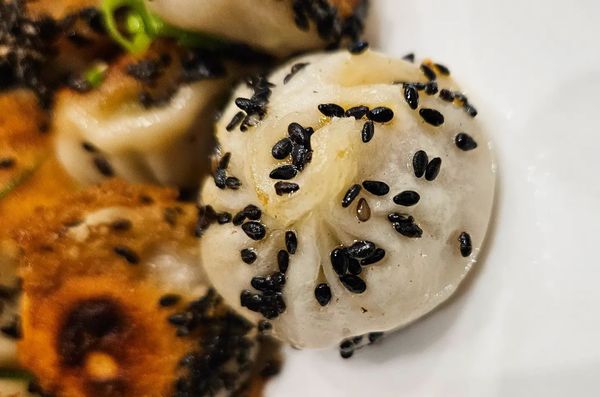 Mini Potstickers by null