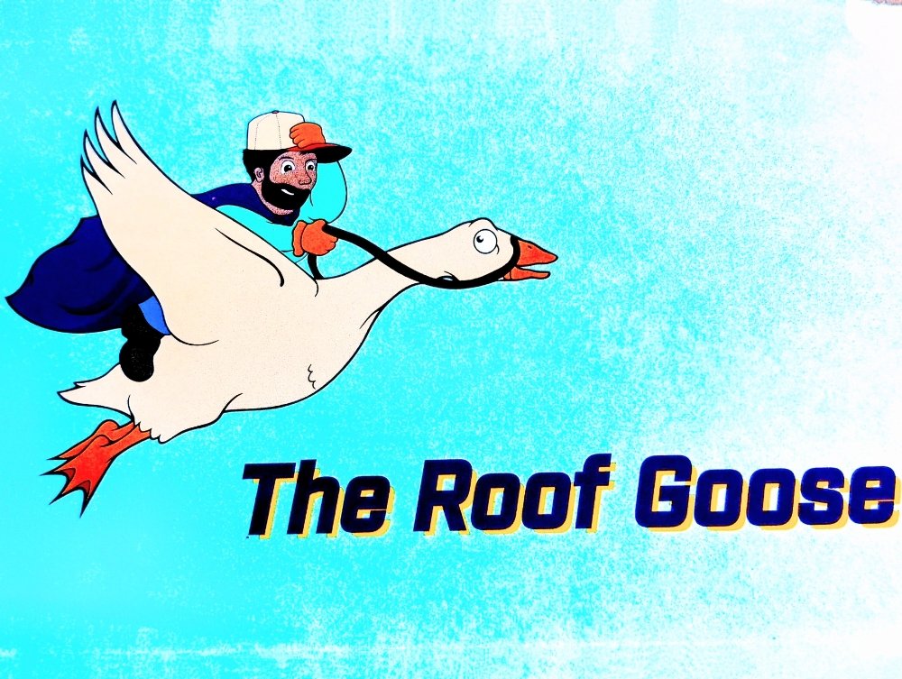 Slide of The Roof Goose