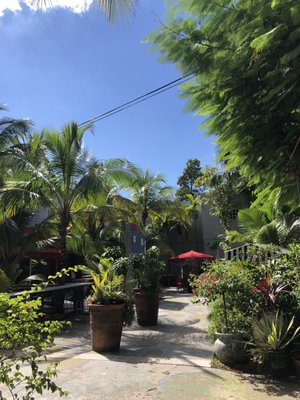 Miami Ironside by null