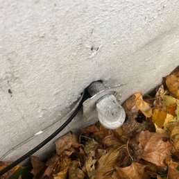 Joe found a hole in our house while doing the pest maintenance, he sealed it for us.   He's awesome!