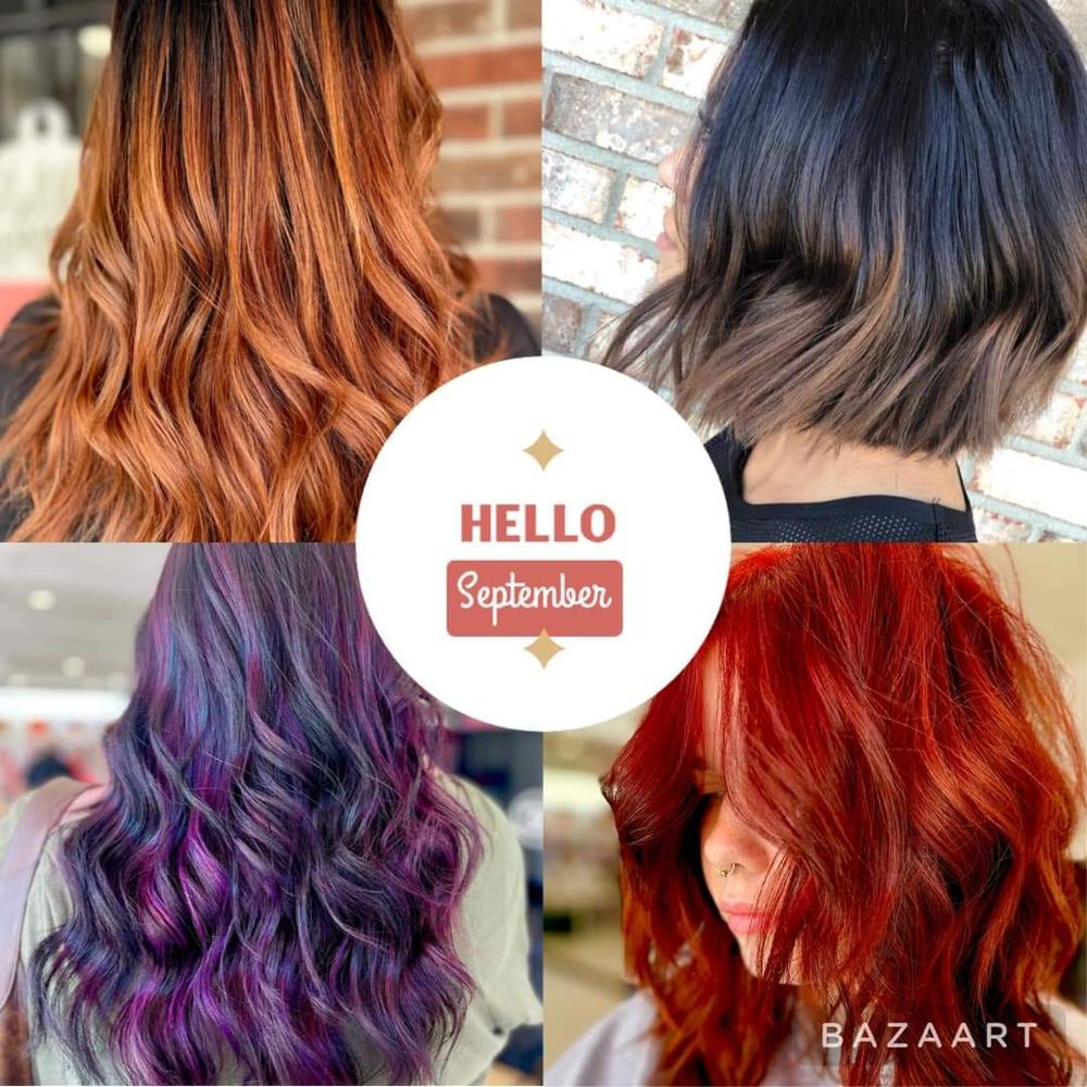 ABSOLUTELY SALON Updated September 2024 87 Photos 11726 Old