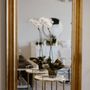 Photo of Prime Lash & Brow Boutique