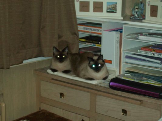 Flossmoor Animal Hospital