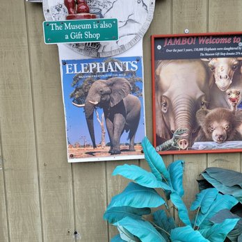 Elephant Museum & Thrift Shop - Save the elephants! - Museums Near Me - Fort Bragg, California Elephant Museum & Thrift Shop - Save the elephants! - Museums Near Me - Fort Bragg, California