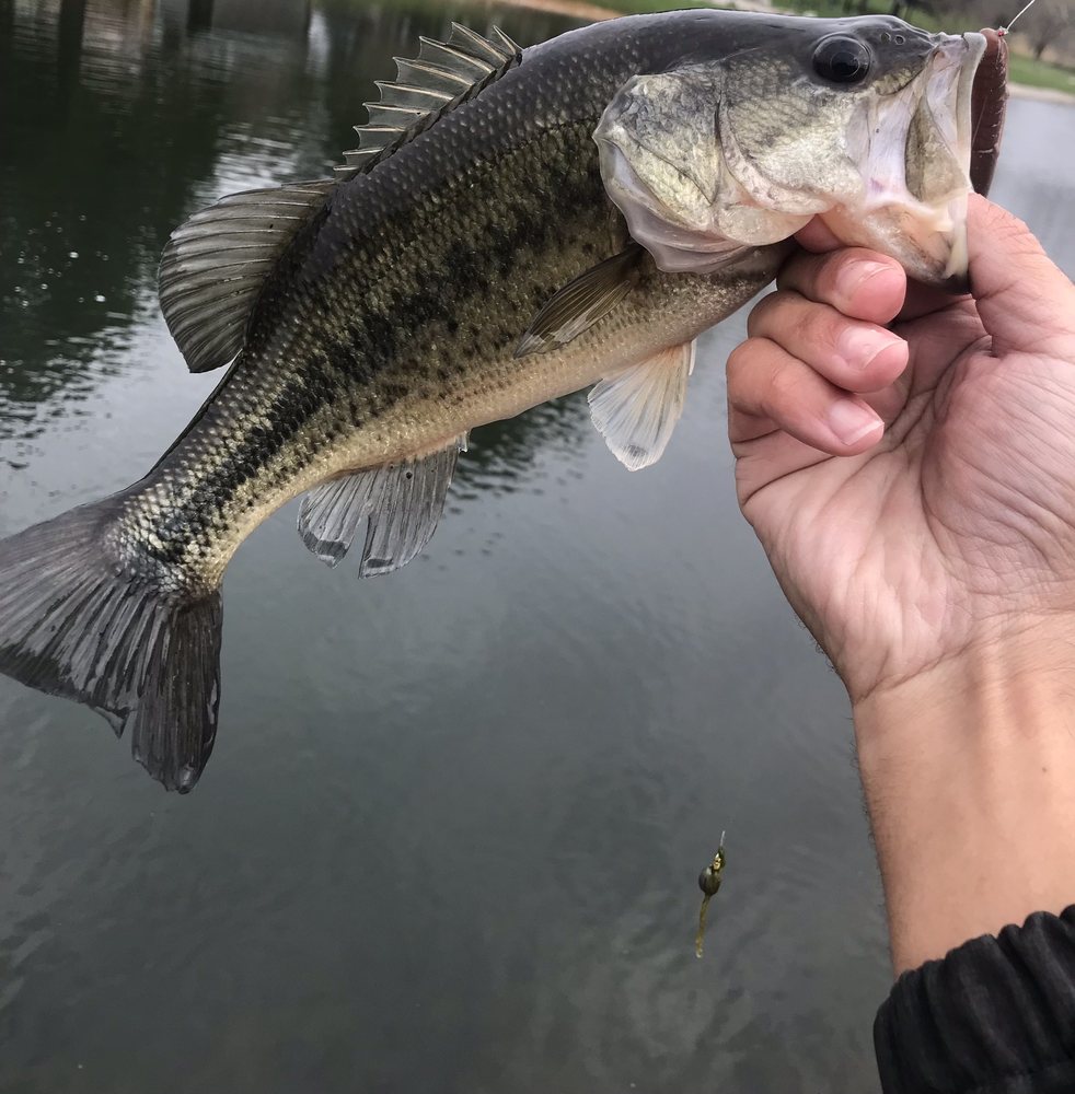 ARROWHEAD PARK 29357 310th St, Neola, Iowa Parks Phone Number Yelp