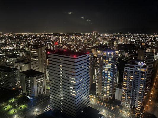 Fukuoka Tower by null