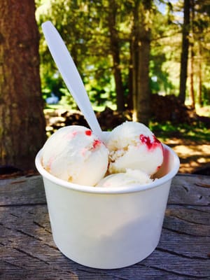 Sequim Lavender Festival by null