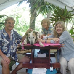 All Creatures Great and Small - Inside one of the clinic rooms at our Kauai clinic.