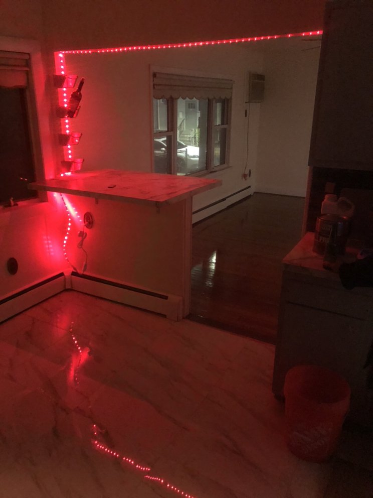 Slide of Boston Paint Brush