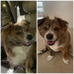 Before & After, Milk. Before & After, Milk.