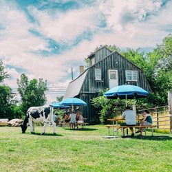 Ilsley's Ice Cream - Seating area. Beautiful farmland views!