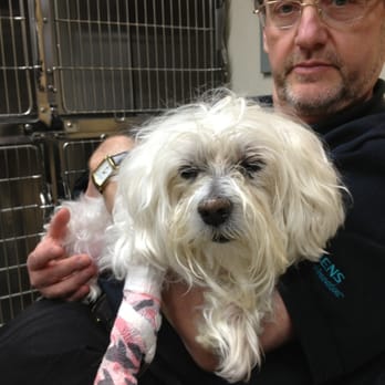 WILLOWDALE ANIMAL HOSPITAL - Updated July 2025 - 12 Photos & 66 Reviews - 256 Sheppard Ave W, North York, Ontario - Veterinarians - Phone Number - Yelp