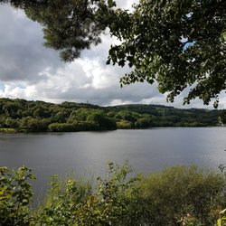 Jumbles Country Park