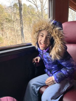 Great Smoky Mountains Railroad by null