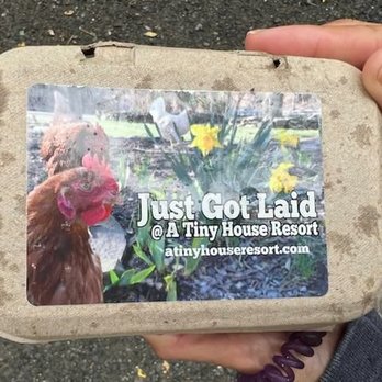 A Tiny House Resort - Free eggs! - Resorts Near Me - South Cairo, New York A Tiny House Resort - Free eggs! - Resorts Near Me - South Cairo, New York