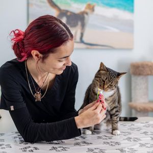 PEBBLE CREEK ANIMAL HOSPITAL - Updated January 2026 - 37 Photos & 80