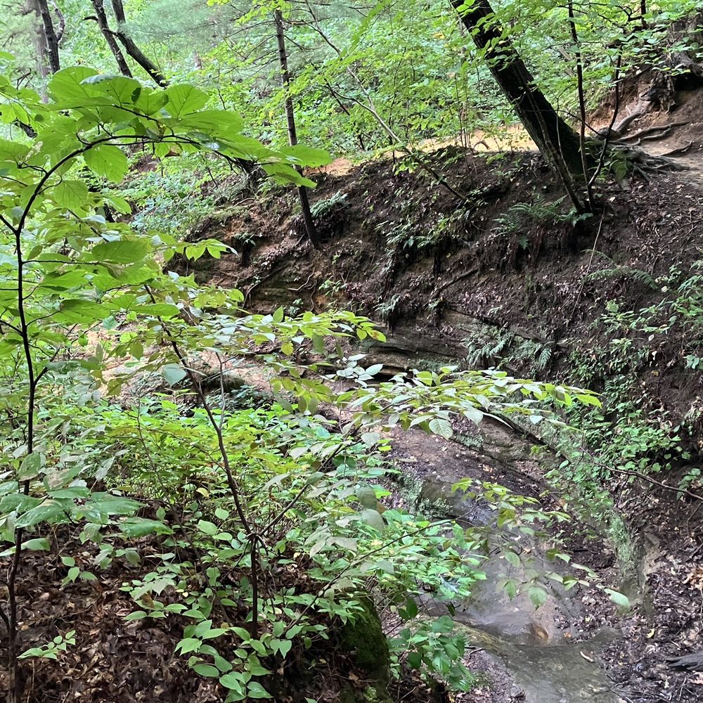 Starved Rock State Park - Pontiac Canyon - Parks Near Me - Utica, Illinois