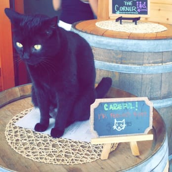Kynsi Winery - Love the good humor with their winery cat - Wineries Near Me - Arroyo Grande, California Kynsi Winery - Love the good humor with their winery cat - Wineries Near Me - Arroyo Grande, California