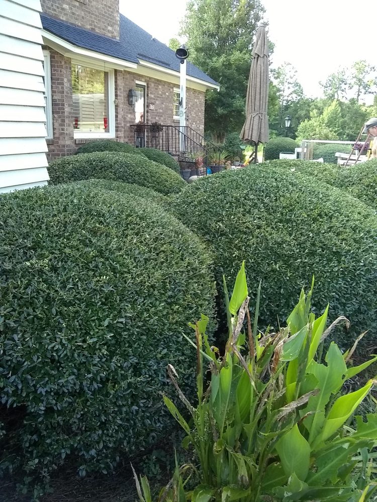 Slide of Hughes Home Repairs And Landscaping