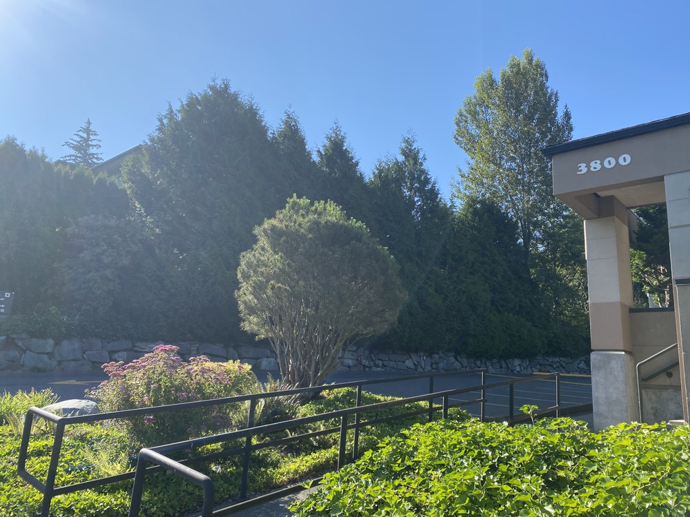 SONRISE PROPERTY MANAGEMENT Updated August 2024 28 Reviews 3800