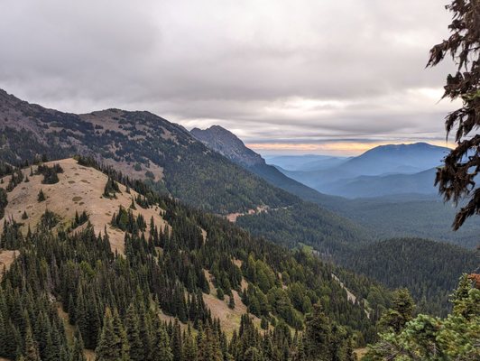 Hurricane Ridge by null
