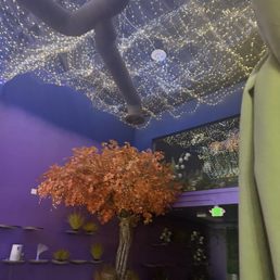 Indoor decor for rent for space Indoor decor for rent for space