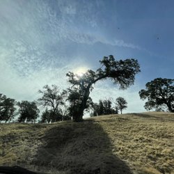 Hill 559