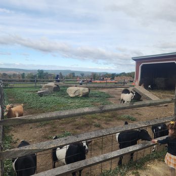 Westview Farm Creamery - Ice Cream & Frozen Yogurt Near Me - Monson, Massachusetts