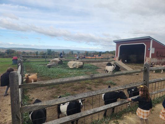 WESTVIEW FARM CREAMERY - Updated September 2025 - 88 Photos & 71