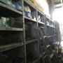 Cincinnati Piping Supply