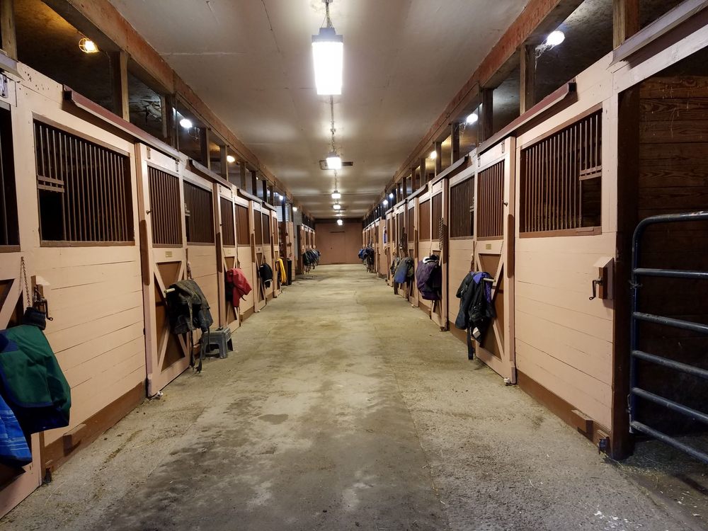 Castle Creek Farms - equestrian in Mendon, NY