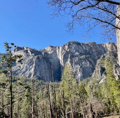 Scenic Wonders Lodging, Cabins and Rentals for Yosemite by null