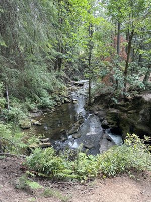 Whatcom Falls by null