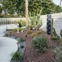 Photo of Desert Beauty Landscape Design