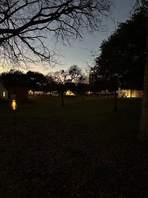City Park by null