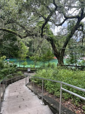 Fanning Springs State Park by null