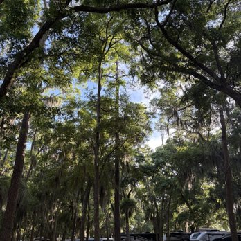 Jekyll Island Campground - Just like camping in the woods. - Campgrounds Near Me - Jekyll Island, Georgia Jekyll Island Campground - Just like camping in the woods. - Campgrounds Near Me - Jekyll Island, Georgia