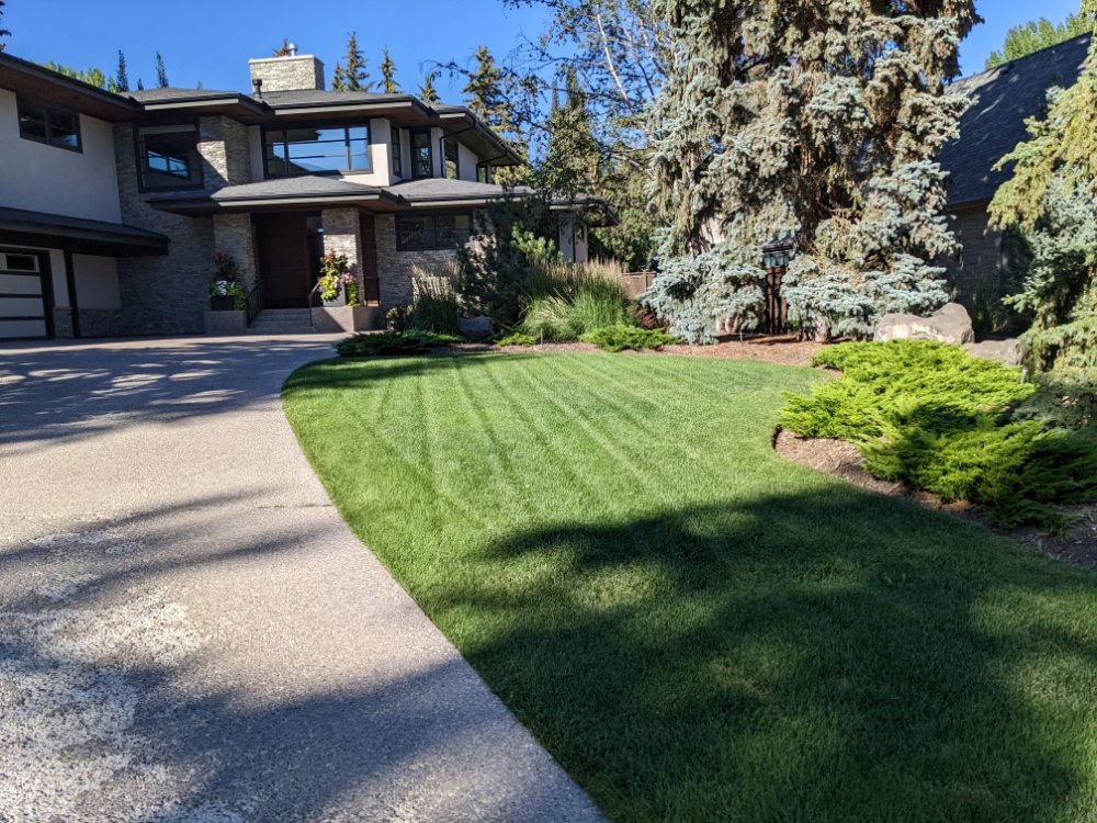 GRASS DOCTOR WEED CONTROL Updated September 2024 Request a Quote 12 Photos 1333201