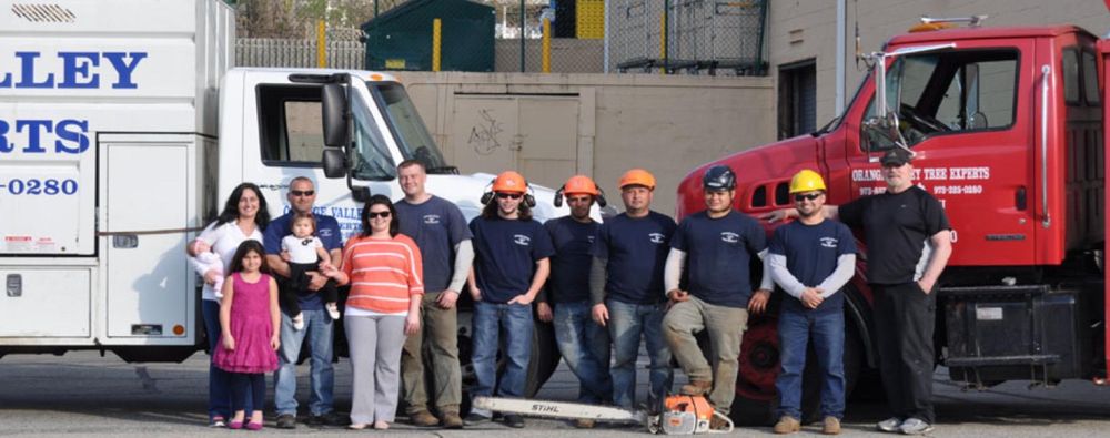 Orange Valley Tree Experts - tree service in Verona, NJ