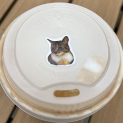 Pull & Press - Cute little kitty with human hands sticker on lid