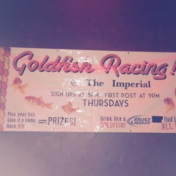 The Imperial Bar - Gold fish racing! - Sports Bars Near Me - Juneau, Alaska The Imperial Bar - Gold fish racing! - Sports Bars Near Me - Juneau, Alaska