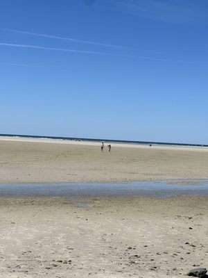 Chapin Memorial Beach by null