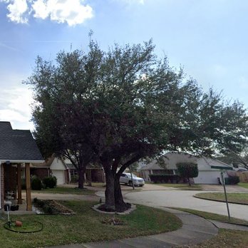 On Point Tree Service - Asked for branches to be cut away from the home to not cover the flowerbed and to not cover the sidewalk - Tree Services Near Me - Katy, Texas On Point Tree Service - Asked for branches to be cut away from the home to not cover the flowerbed and to not cover the sidewalk - Tree Services Near Me - Katy, Texas