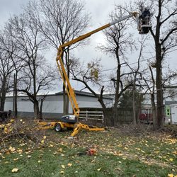 Fireline Lawns - Tree removal