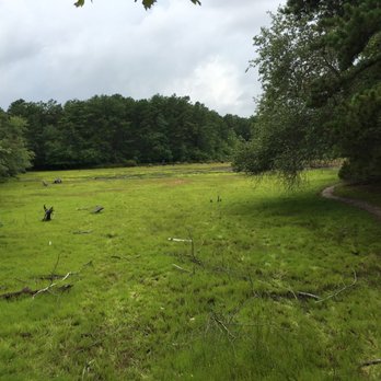 Quogue Wildlife Refuge - Parks Near Me - Quogue, New York Quogue Wildlife Refuge - Parks Near Me - Quogue, New York